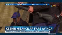 Keskin nişancılar fare avında