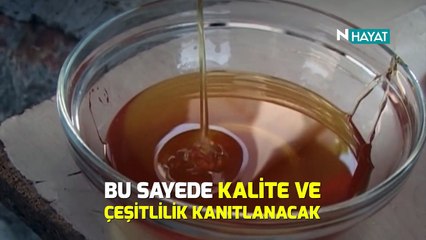 N Hayat... Türk balı kimliğine kavuşuyor