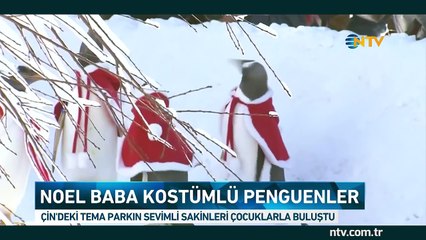Çocukların penguen heyecanı görülmeye değer