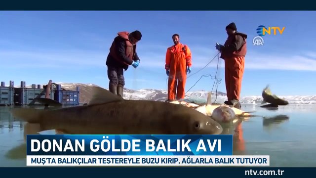 Donan gölde balık avı