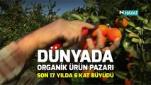 N Hayat... Organik tarımın önemi