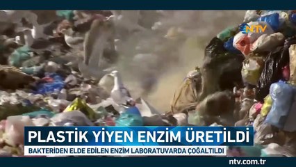 Japonya'da bir çöplükte keşfedildi (Bilim insanlarından büyük buluş)