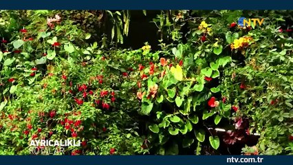 Ayrıcalıklı Rotalar/Singapur 28 Nisan 2018