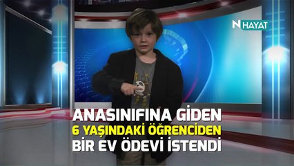 N Hayat... Virale dönüşen ev ödevi uluslararası ün getirdi