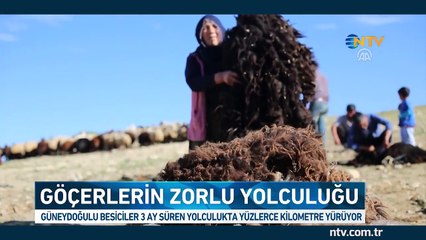 Göçerlerin zorlu yolculuğu başladı (3 ay boyunca kilometrelerce yürüyorlar)