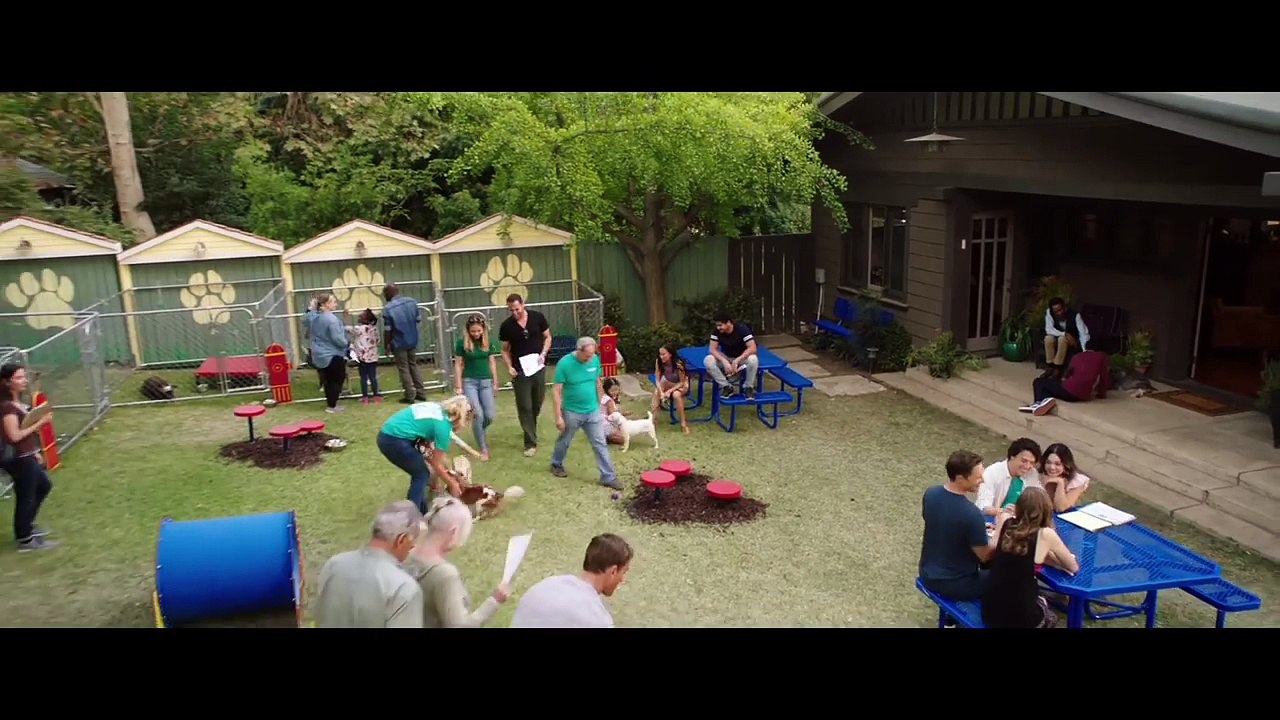 DOG DAYS | Official Trailer