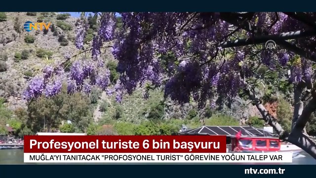 ''Türkiye'nin en iyi işine'' başvuru sayısı 6 bini aştı (1 ay ücretsiz tatil ve 30 bin TL maaş)