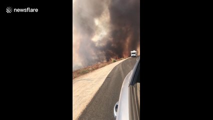 Homes evacuated after fire breaks out near San Diego