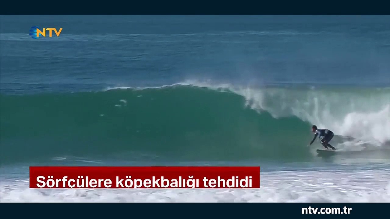 Sörfçülere köpek balığı tehdidi... (Köpek balığı kıyıya yaklaşınca organizasyon ertelendi)