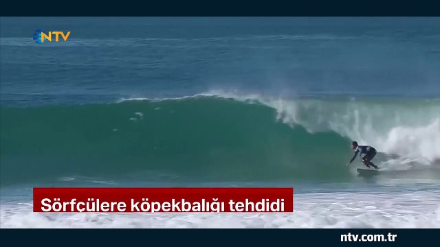 Sörfçülere köpek balığı tehdidi... (Köpek balığı kıyıya yaklaşınca organizasyon ertelendi)