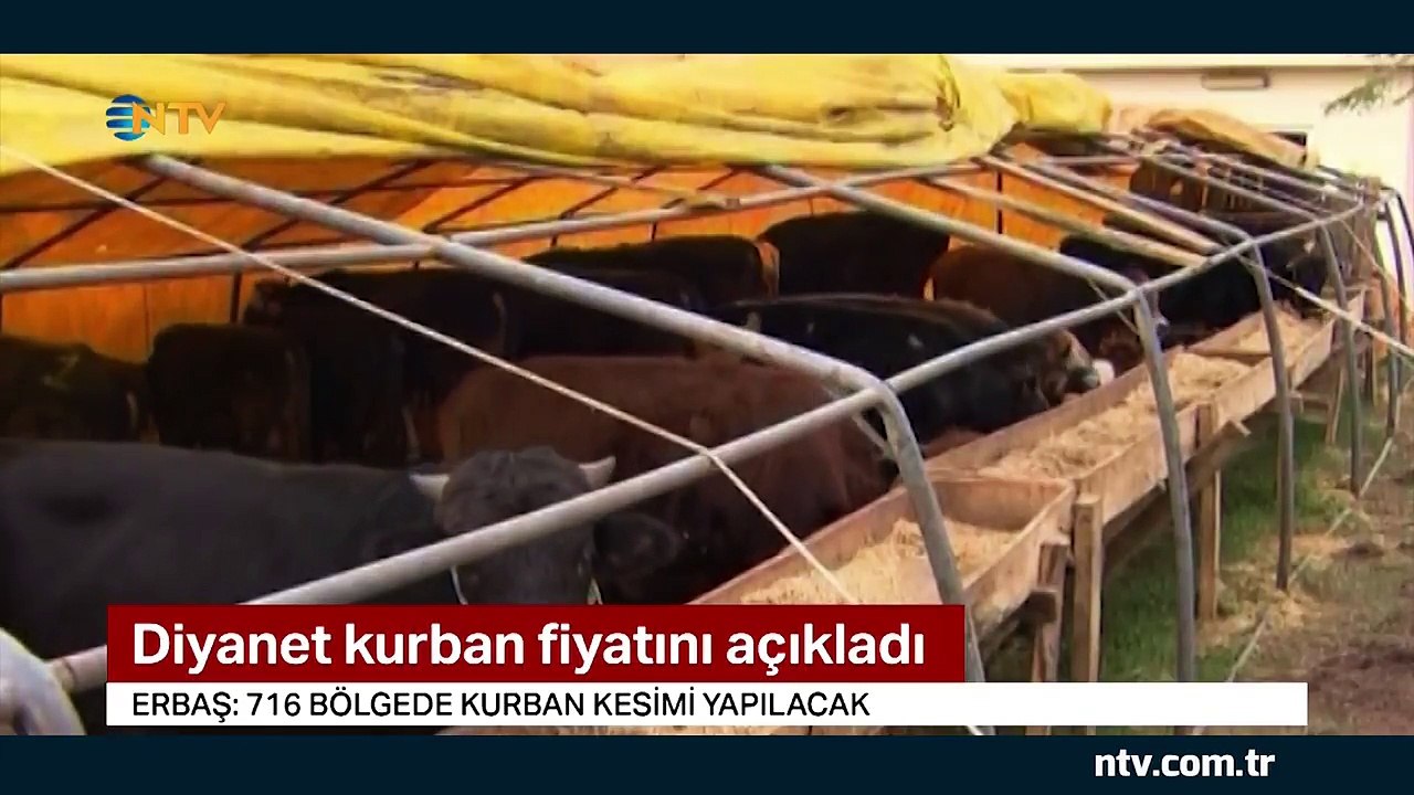 Diyanet kurban fiyatlarını açıkladı