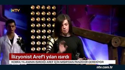 İllüzyonist Aref'i kobra yılanı ısırdı (Panzehir Türkiye'de yok)