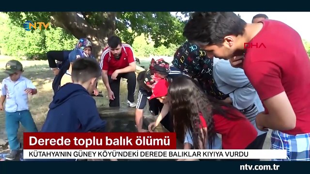 Köylüler, balıkları kurtarmak için zamanla yarıştı