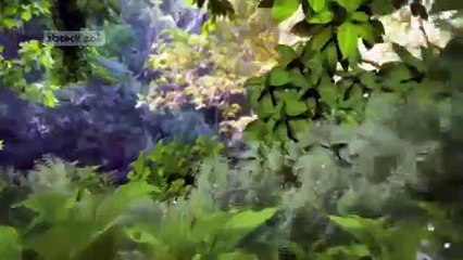 Coração Indomável - Capítulo 39