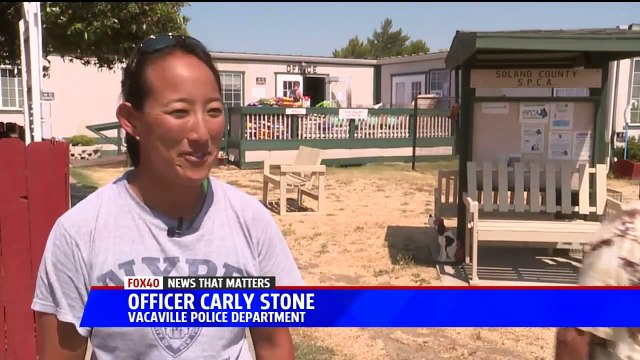 Video Shows Officers Frantically Taking Animals from Shelter as Fire Approached