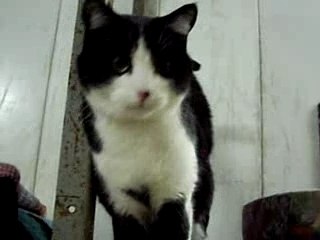 Tornado chat spa amance film déc 2007