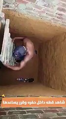 سبايدر مان النسخة الاصلية ..