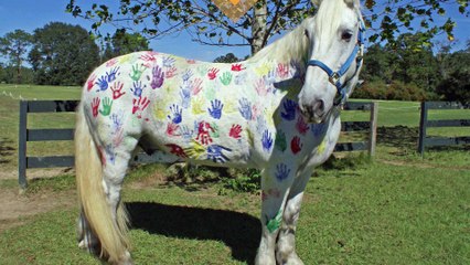 La mode du "pony painting" fait scandale !