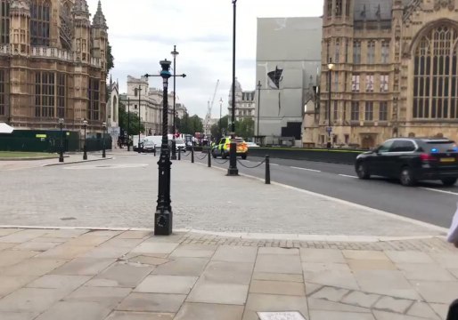 Armed Police Surround Car That Crashed Near Houses of Parliament