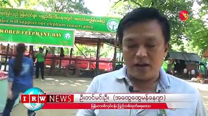 ျပည္ၿမိဳ႕တြင္ World Elephants Day အေနႏွင့္ ဆင္မ်ားကုိ ဘူေဖးေကၽြးဧရာဝတီ၊ ၾသဂုုတ္ ၁၃၊ ၂၀၁၈ပဲခူးတုိင္းအေနာက္ပုိင္း ျပည္ၿမိဳ႕ ရန္ကုန္-ျပည္ ကားလမ္းေဘးရွိ ကၽြန္းေ