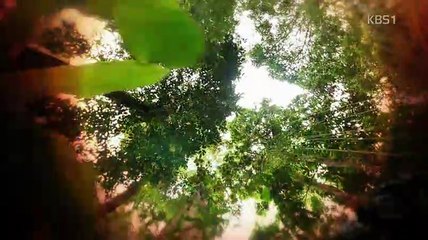 동물의 세계.180518.450p.mp4