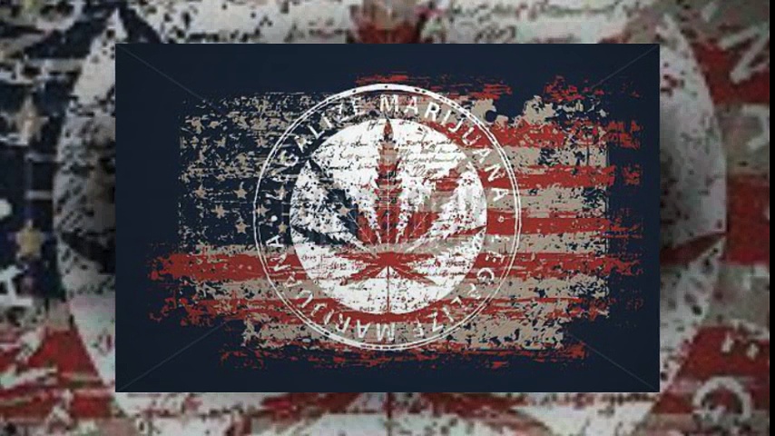 Invest in Marijuana Stocks | investinweed.com