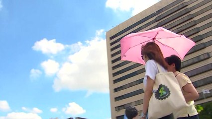 [날씨] 광복절, 내륙 폭염·남해안 120mm 호우 / YTN