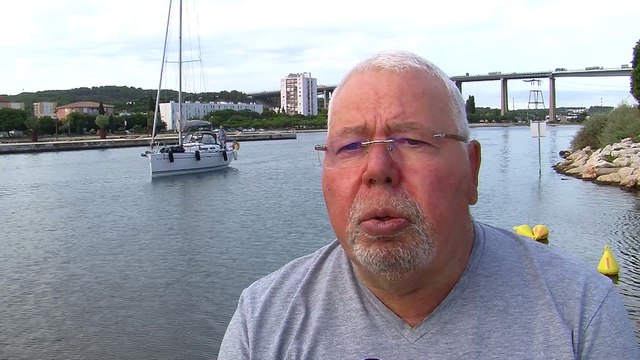 Les requins peau bleu aiment les eaux chaudes du Golfe de Fos