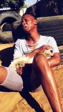 Section 32236:72246 to 22563 of Animal rape should be amended.Animals rape each other too.Its not only people raping animals.my little dog is in pain