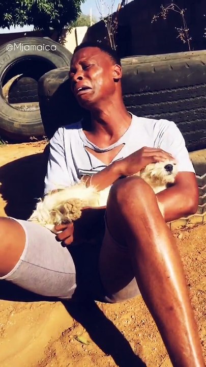 Section 32236:72246 to 22563 of Animal rape should be amended.Animals rape each other too.Its not only people raping animals.my little dog is in pain