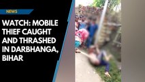Watch: Mobile thief caught and thrashed in Darbhanga, Bihar