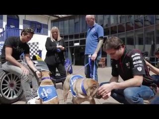 Are Formula E stars barking mad or just having a ruff time?