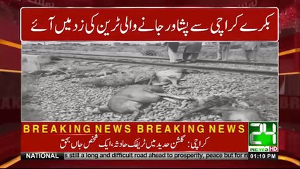 وزیر آباد میں 60 سے زائد بکرے ٹرین کی زد میں آگئے