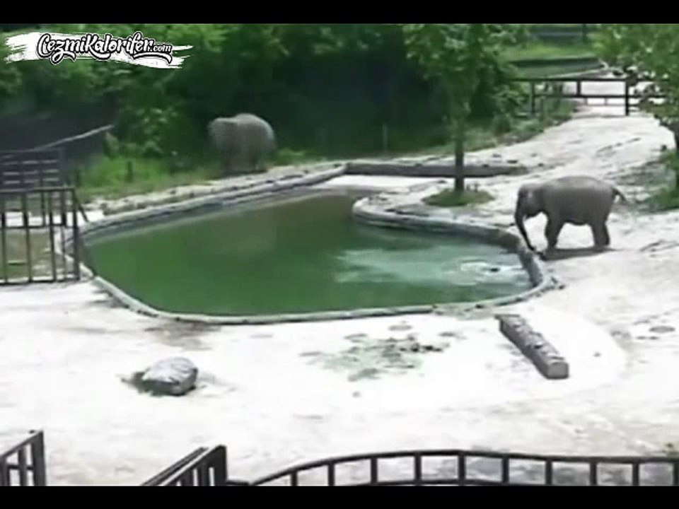 Fil de Olsan Evladın İçin Telaşlanırsın, Anne Baba Olmak Böyle Birşey