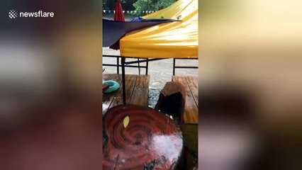 Thai hero rescues tourists washed away by flash flood