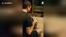North Carolina man befriends a racoon and feeds him doughnuts