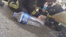 Bombeiros espanhóis resgatam filhote de prédio em chamas