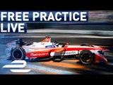 Formula E Full Show - Free Practice 4 - 2017 FIA Formula E Hydro-Quebec Montreal ePrix