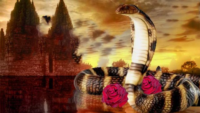 Nag Panchami के दिन ये उपाय दूर करेंगे राहू दोष, राशि के अनुसार करें पूजा | Boldsky