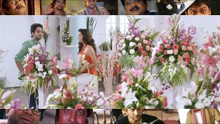Nautanki Saala | Ayushmann Khurrana's Comedy Scenes