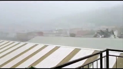 GÉNOVA | Se derrumba un gran puente de una autopista en Italia