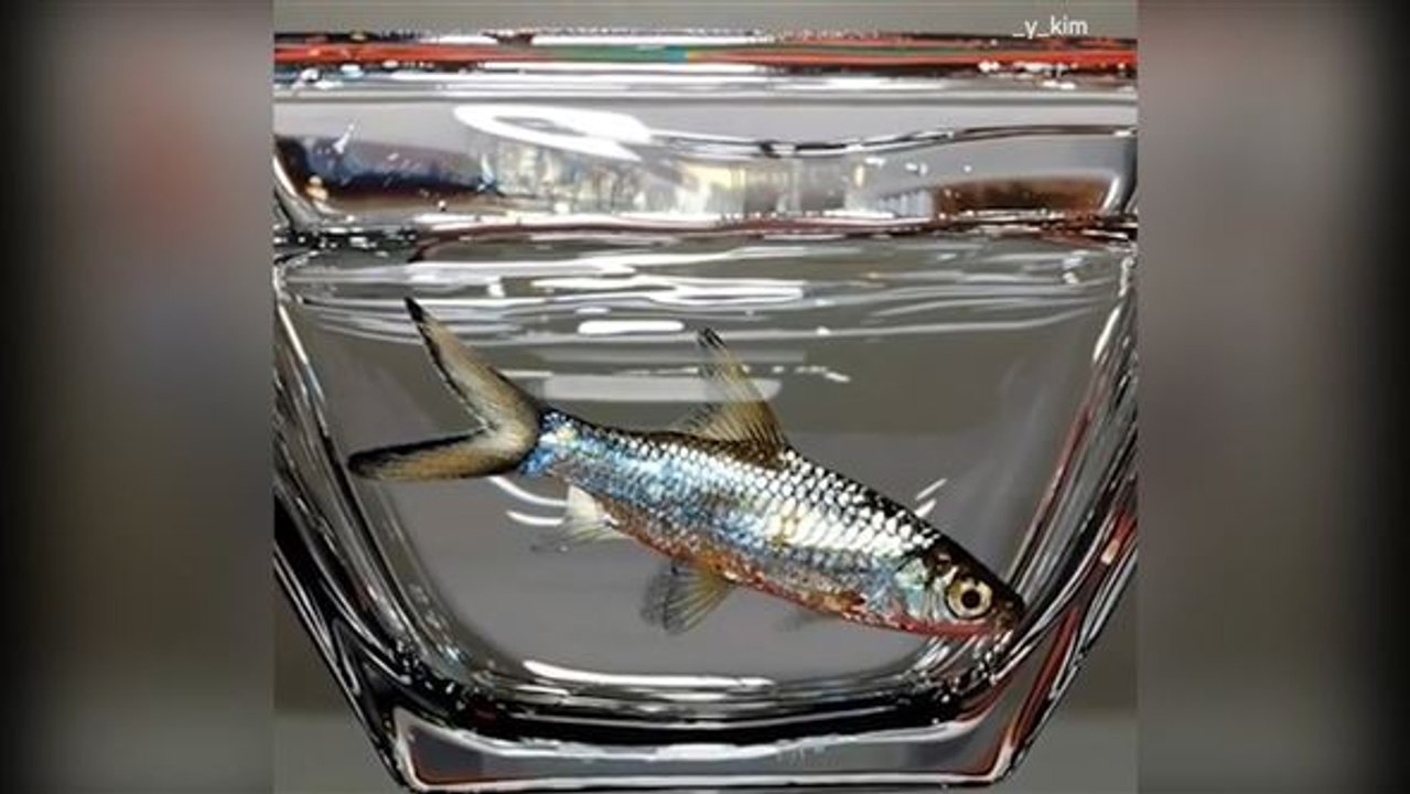 Wie ein Foto: Hyperrealistische Kunstwerke