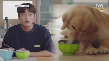 먹다 먹다 콩알이 개밥(개죽)까지 맛있게~먹는 윤두준 ㅋㅋ