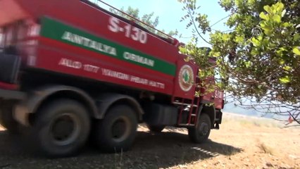 Manavgat'ta orman yangını - ANTALYA