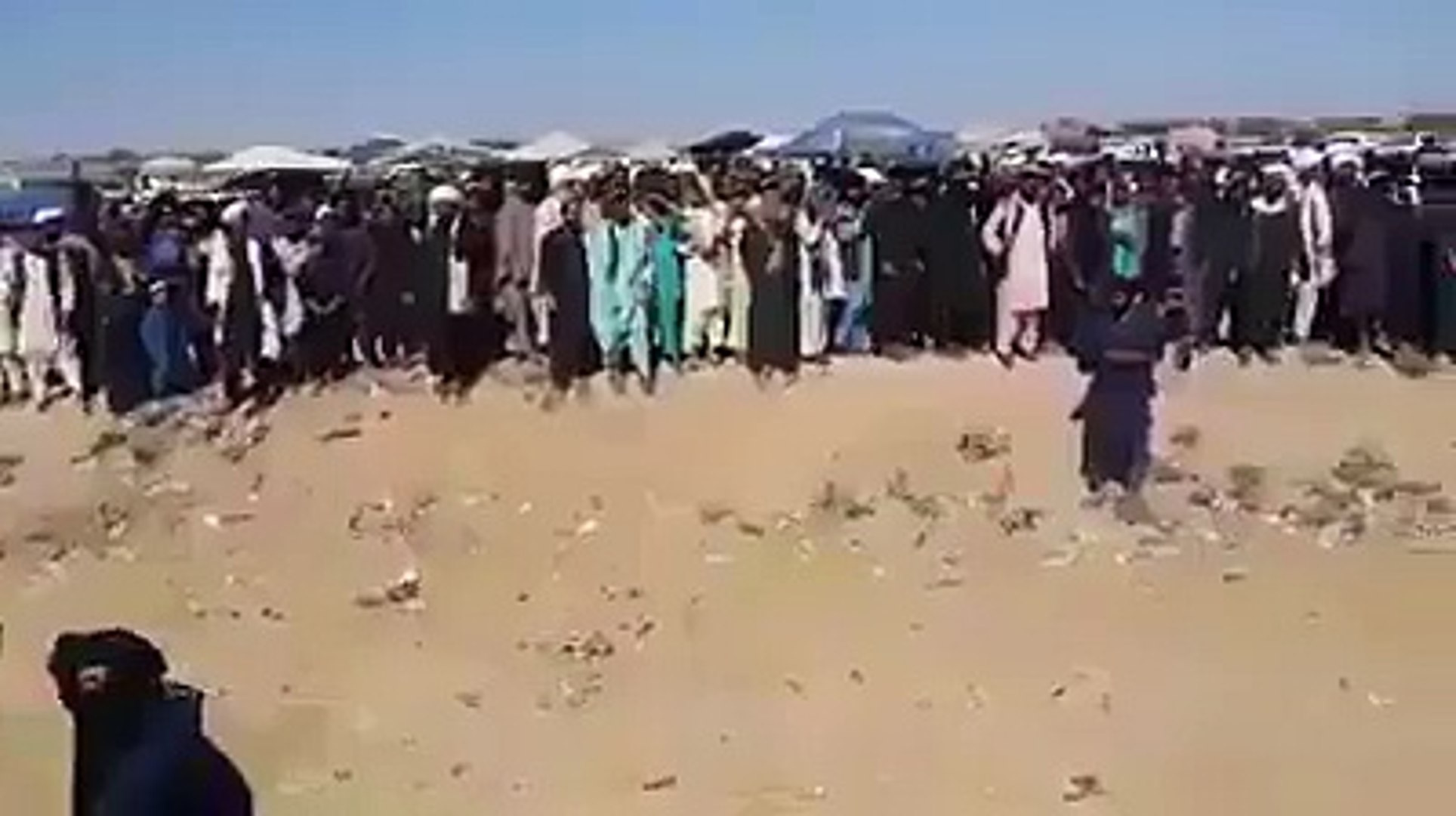 ⁣محکمه صحرایی موتر....طالبان در ولایت هلمند بالای یک عراده موتر و ۹۵۰۰۰۰ پول نقد، حکم شریعت را تطبیق 