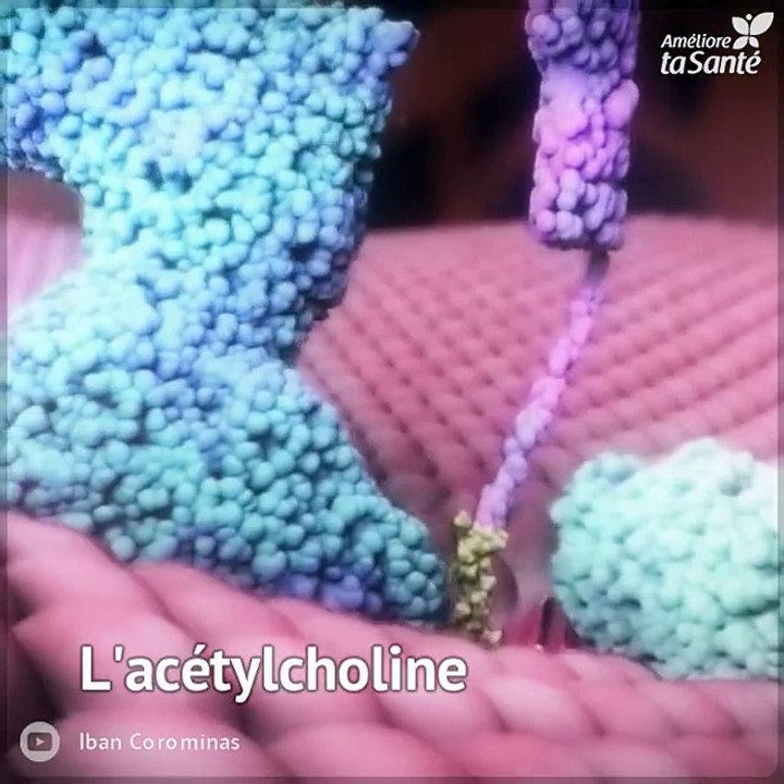 La maladie d'Alzheimer emporte peu à peu nos vies et nos souvenirs.