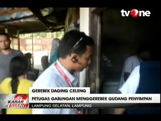 Petugas Gabungan Gerebek Gudang Penyimpanan 1,5 Ton Daging Celeng Ilegal