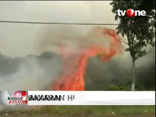 Ratusan Hektare Hutan Konservasi Anggrek di Jambi Terbakar