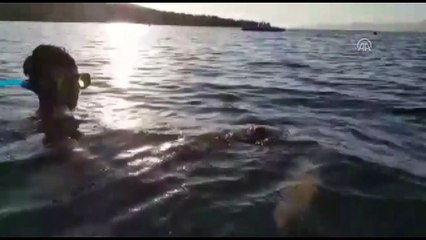 Deniz kaplumbağası kurtarma operasyonu - MUĞLA