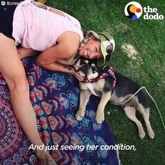 Mother Dog Found Tied Up In Park Finally Has A Real Home | The Dodo + Clear The Shelters